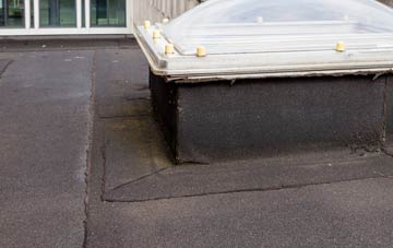 disadvantages of Ferrensby flat roofs