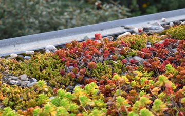 the cost of Ferrensby green roof installation