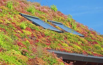 Ferrensby living roof systems