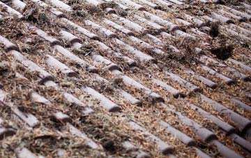 Ferrensby roof cleaning companies