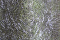 Ferrensby fibreglass roof work