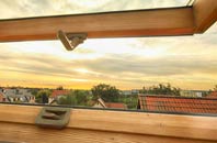 rated Ferrensby roof window companies